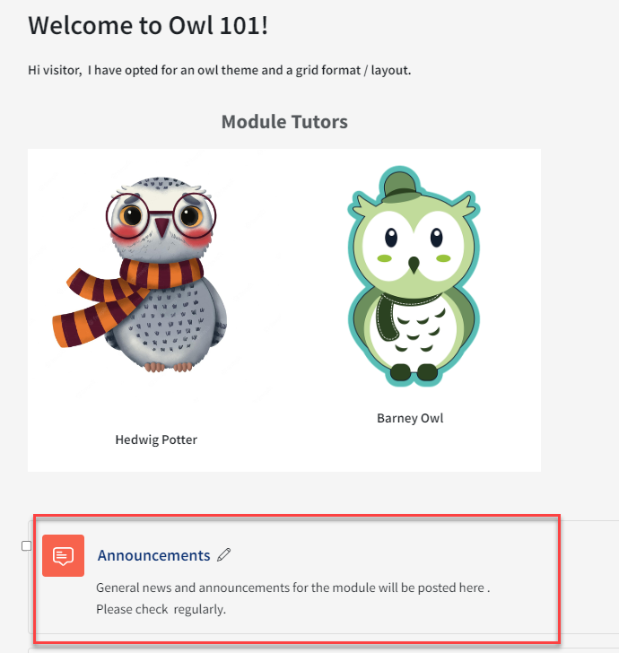 Example of an Announcement Icon on a QMplus site.