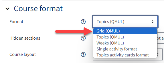 An image of the menu showing the course format settings
