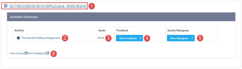 An image of an example of how Gradesplus can look