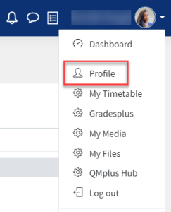 An image of the menu with the profile option highlighted